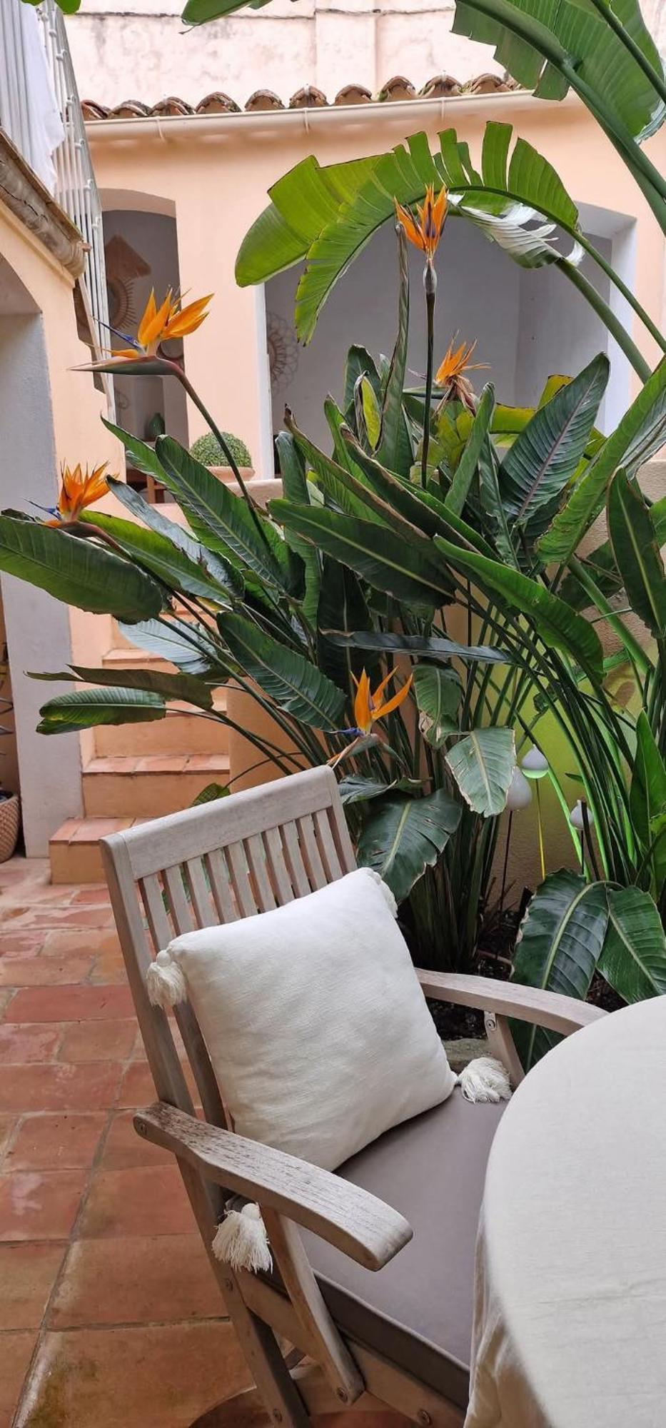 Maison Magdeleine Saint-Tropez Exterior foto